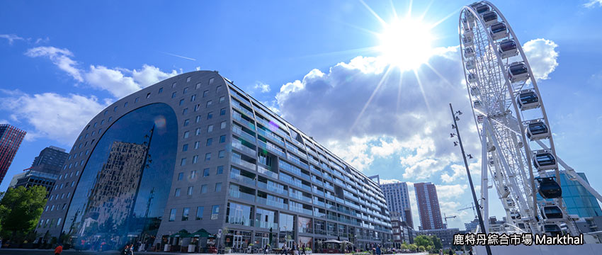 綜合市場